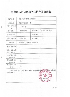 經(jīng)營性人力資源服務(wù)機(jī)構(gòu)年報公示表詳解