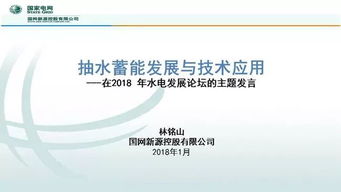 抽水蓄能發展及技術創新——基于國網新源林銘山專家報告的解讀